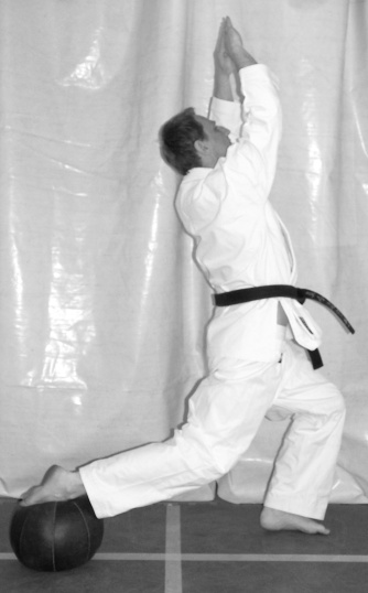 Shin Ai Do Karate